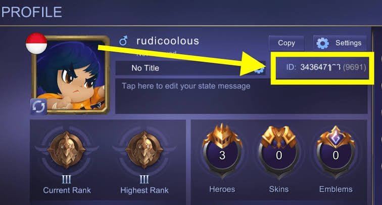 Mobile Legends — Player Info